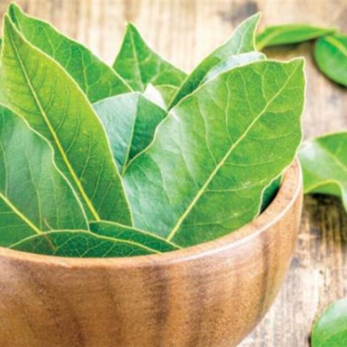 BAY LEAVES