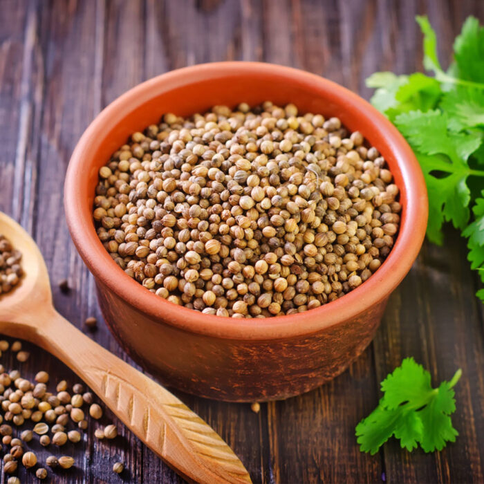 CORIANDER