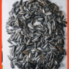 SUN FLOWER SEEDS - Image 2