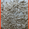 SUN FLOWER SEEDS - Image 5