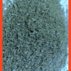 THYME - Image 3