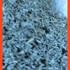THYME - Image 2